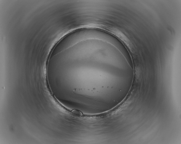 X0000111921428200908031155