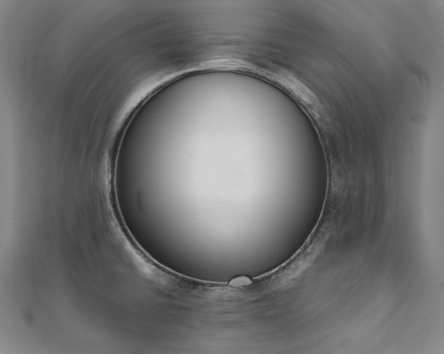 X0000111921430200908031155