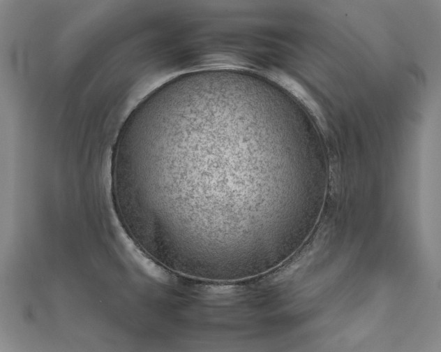 X0000111921431200908031155