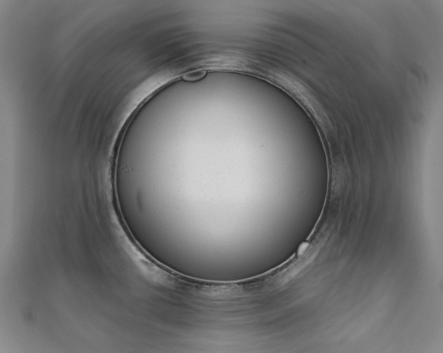 X0000111921434200908031155