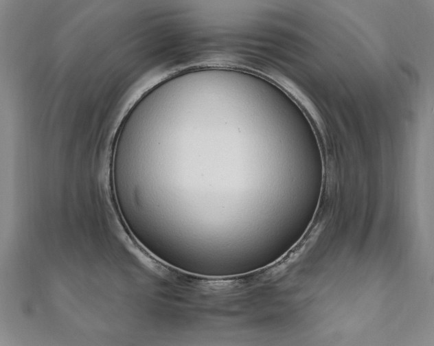 X0000111921437200908031155