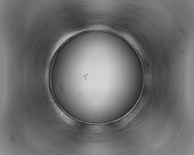 X0000111921438200908031155