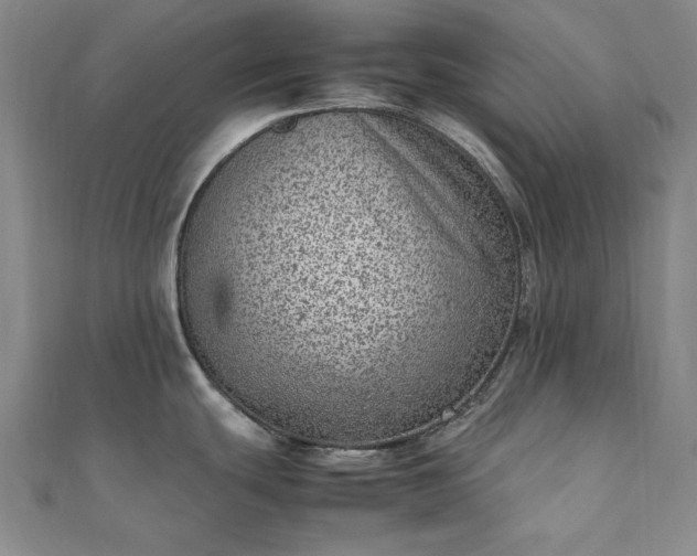 X0000111921439200908031155
