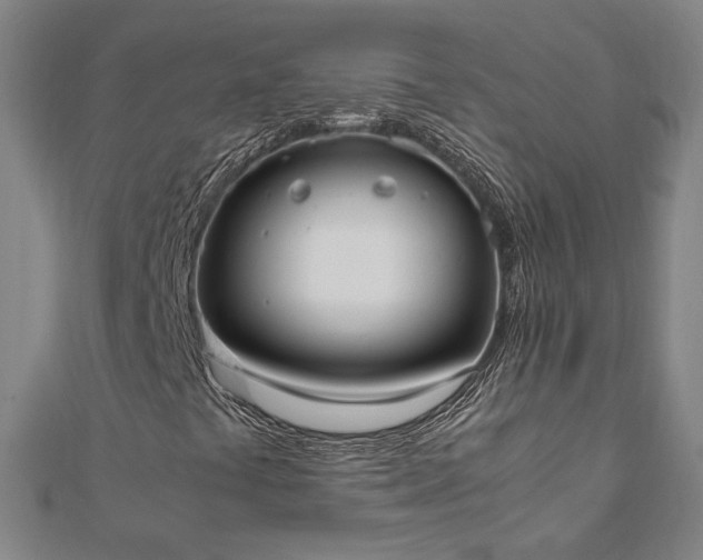 X0000111921441200908031155