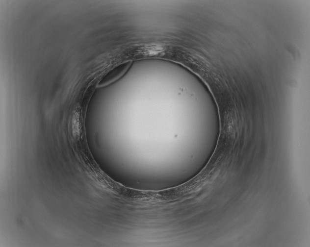 X0000111921442200908031155