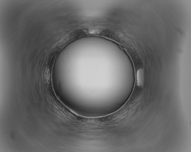 X0000111921443200908031155
