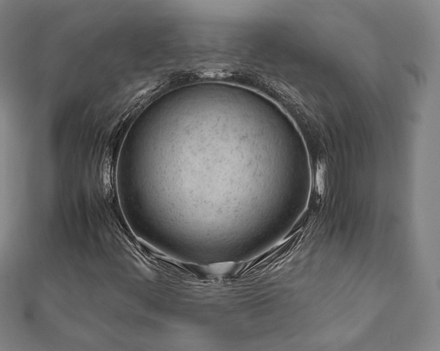 X0000111921444200908031155