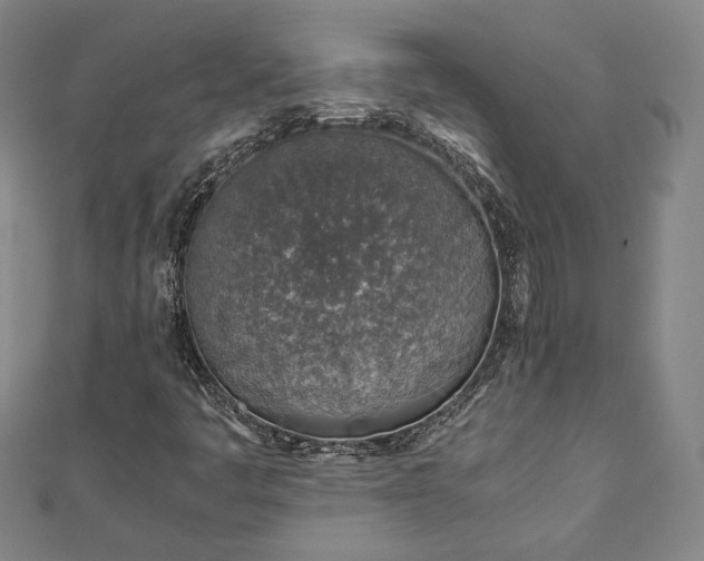 X0000111921445200908031155