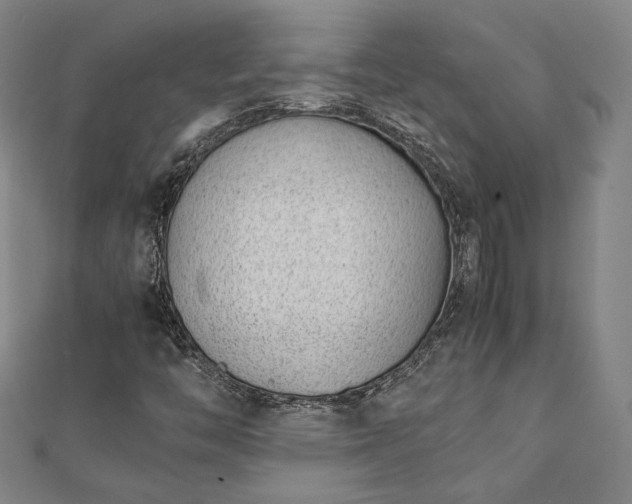 X0000111921446200908031155