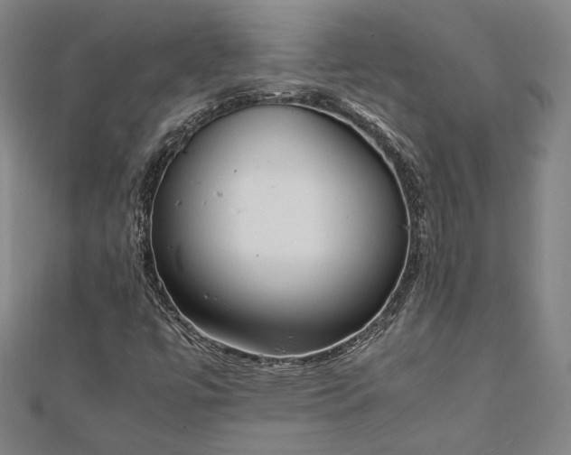 X0000111921447200908031155