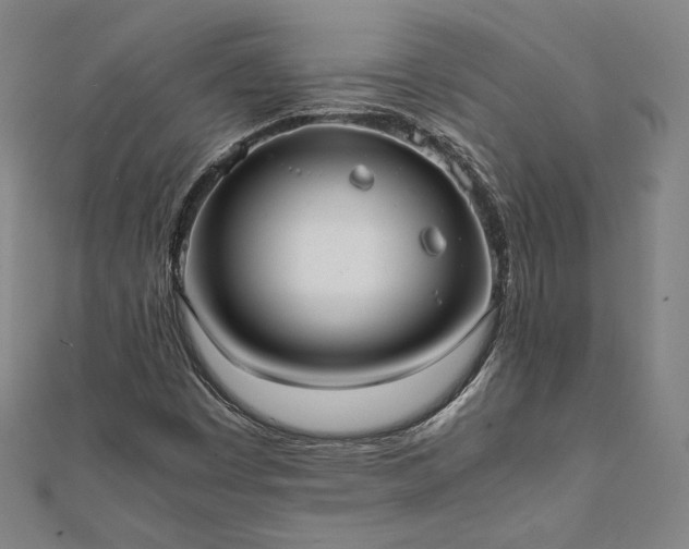 X0000111921449200908031154