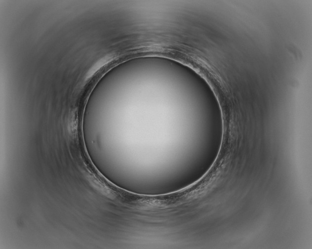 X0000111921450200908031154
