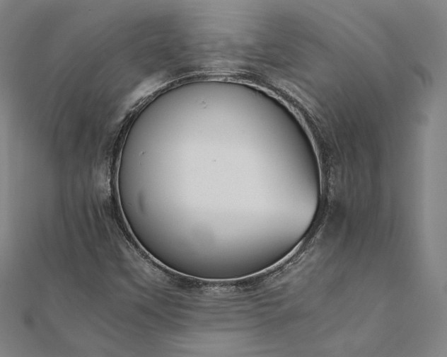X0000111921451200908031154