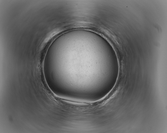 X0000111921453200908031154