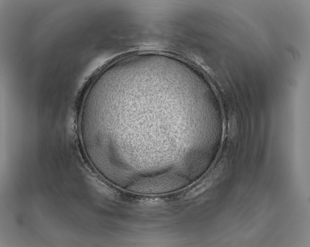 X0000111921454200908031154