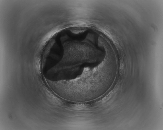 X0000111921455200908031154