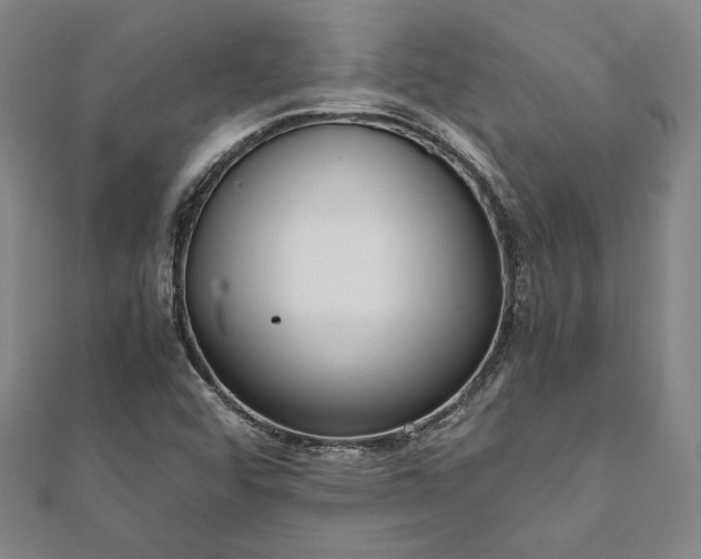X0000111921456200908031154