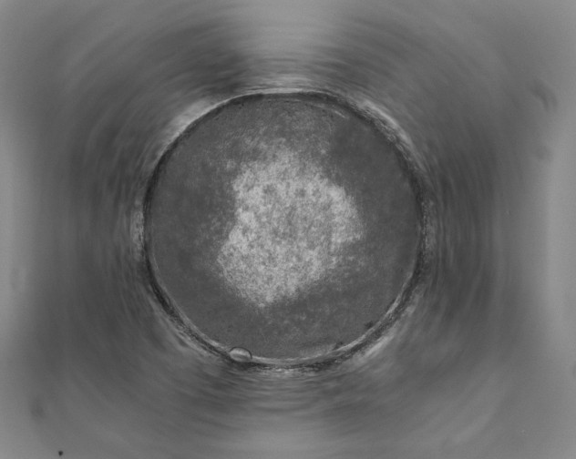 X0000111921457200908031154
