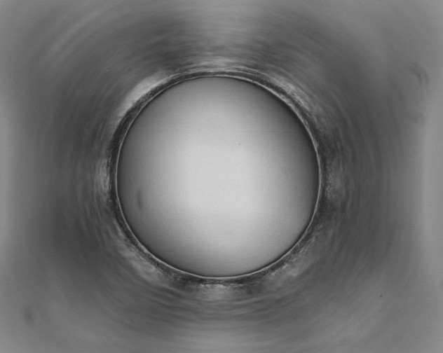 X0000111921458200908031154