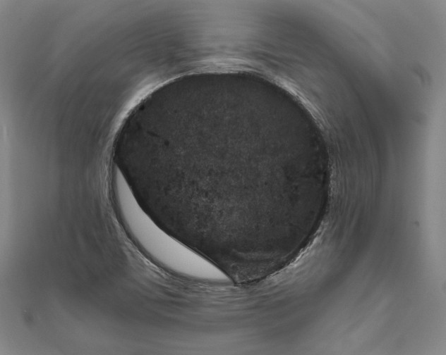 X0000111921459200908031154