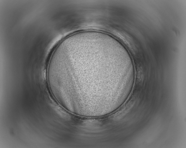 X0000111921462200908031154