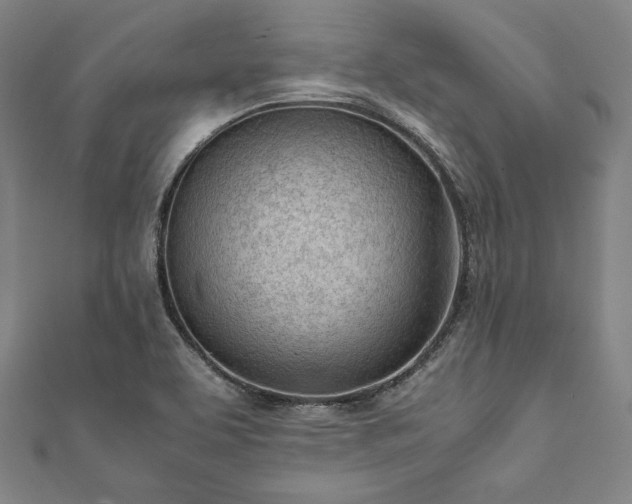X0000111921463200908031154