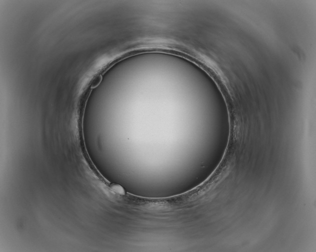 X0000111921464200908031154