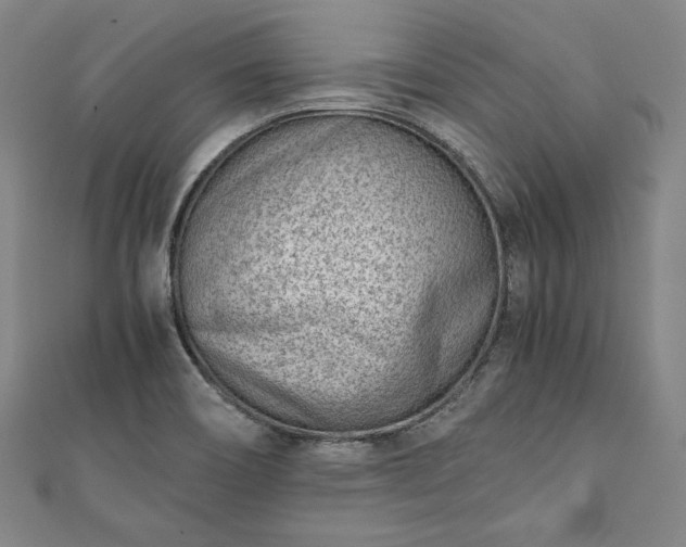 X0000111921466200908031154