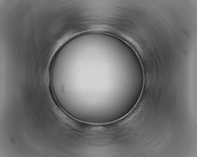 X0000111921467200908031154