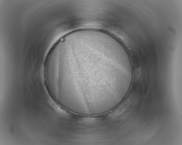 X0000111921470200908031154