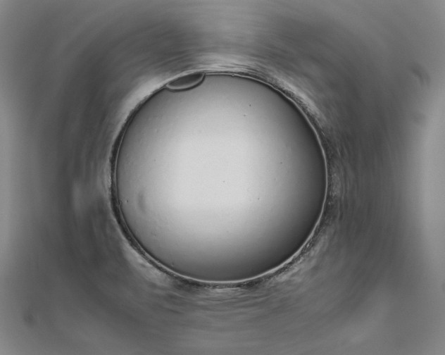 X0000111921471200908031154