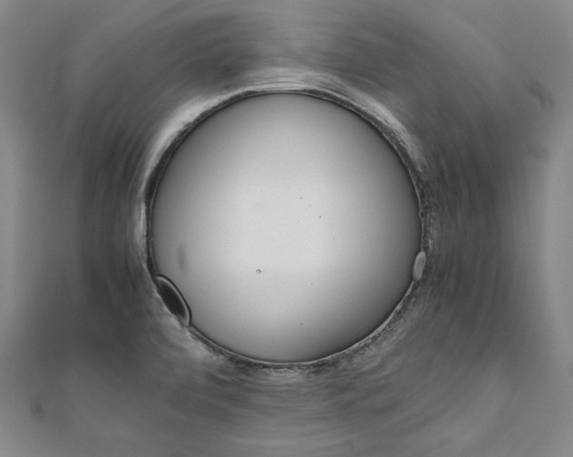 X0000111921472200908031154