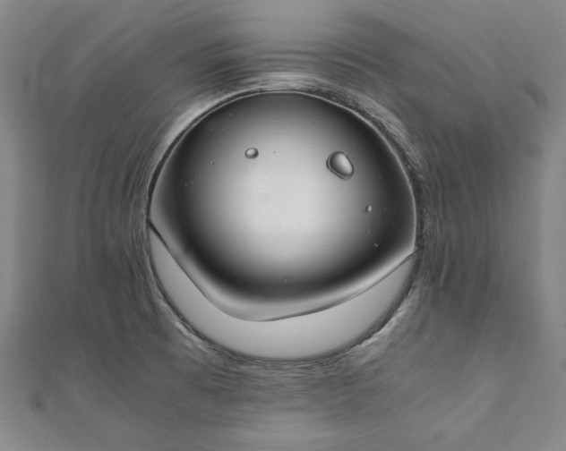 X0000111921473200908031154