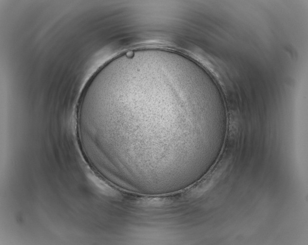 X0000111921474200908031154