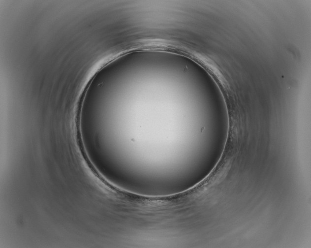X0000111921475200908031154
