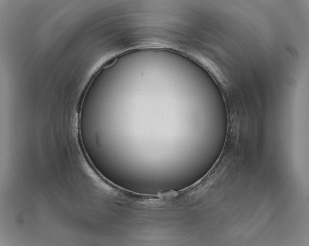 X0000111921476200908031154