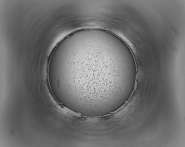 X0000111921477200908031154