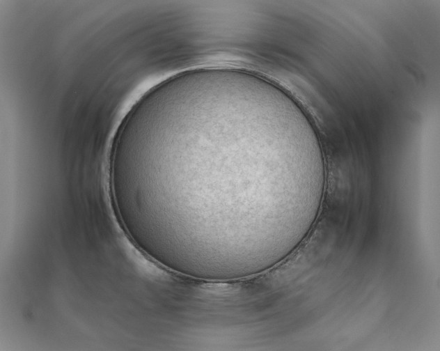 X0000111921478200908031154