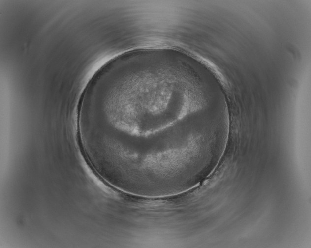 X0000111921479200908031154