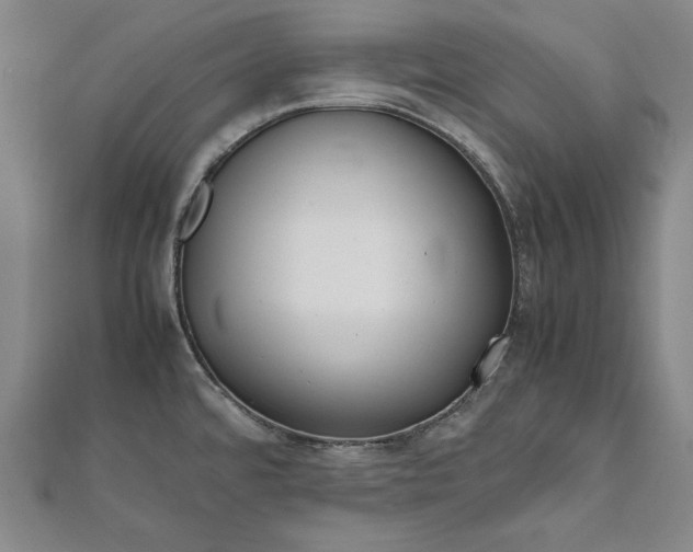 X0000111921480200908031154