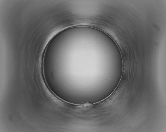 X0000111921483200908031154