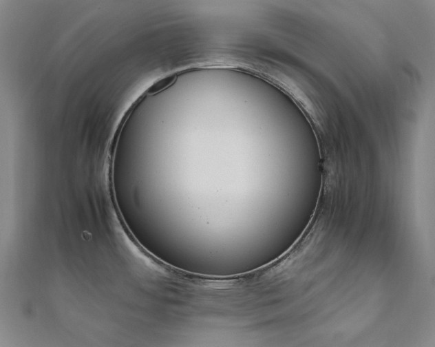 X0000111921484200908031154