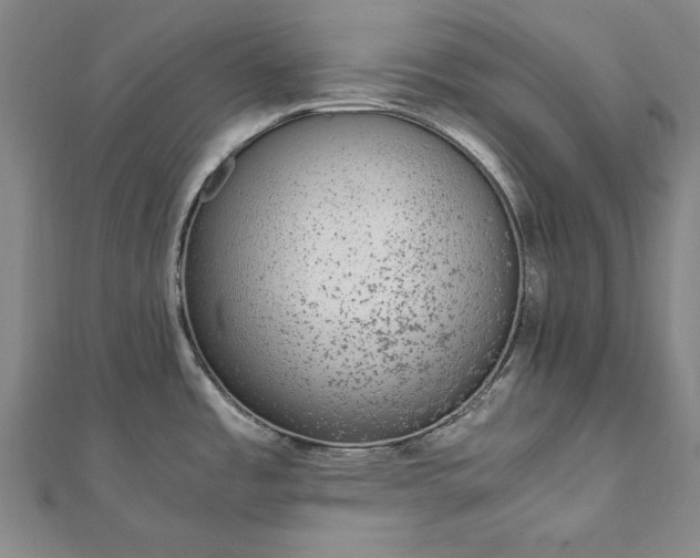 X0000111921485200908031154