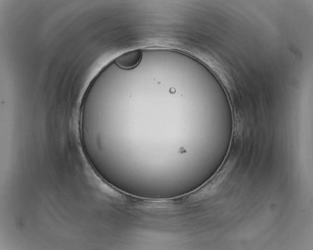 X0000111921486200908031154