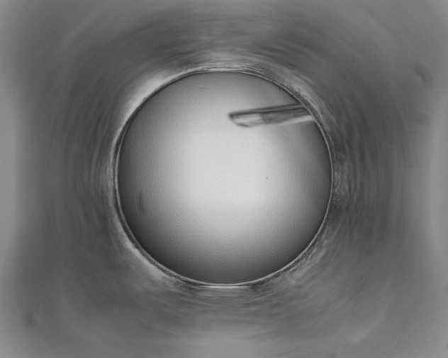 X0000111921487200908031154