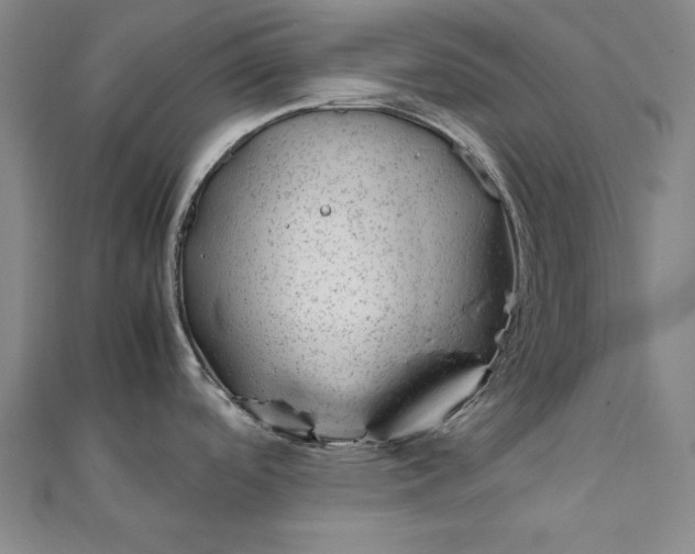 X0000111921488200908031154