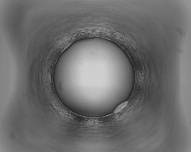 X0000111921489200908031153