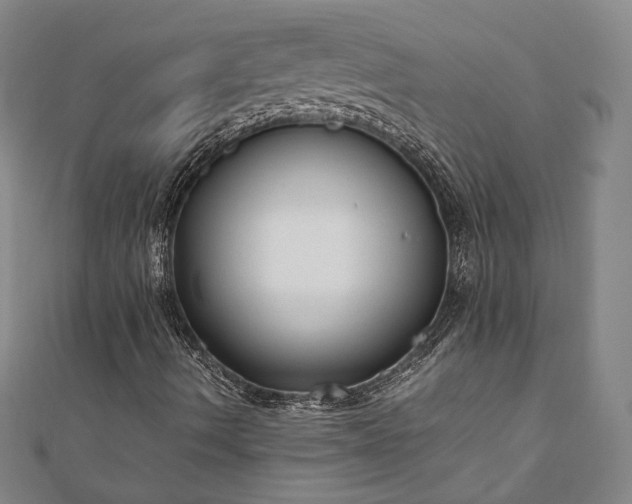X0000111921490200908031153