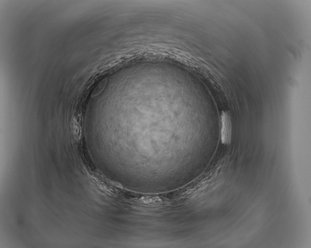 X0000111921491200908031153
