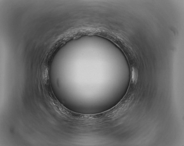 X0000111921492200908031153